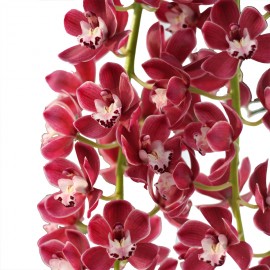 Prem bloemen